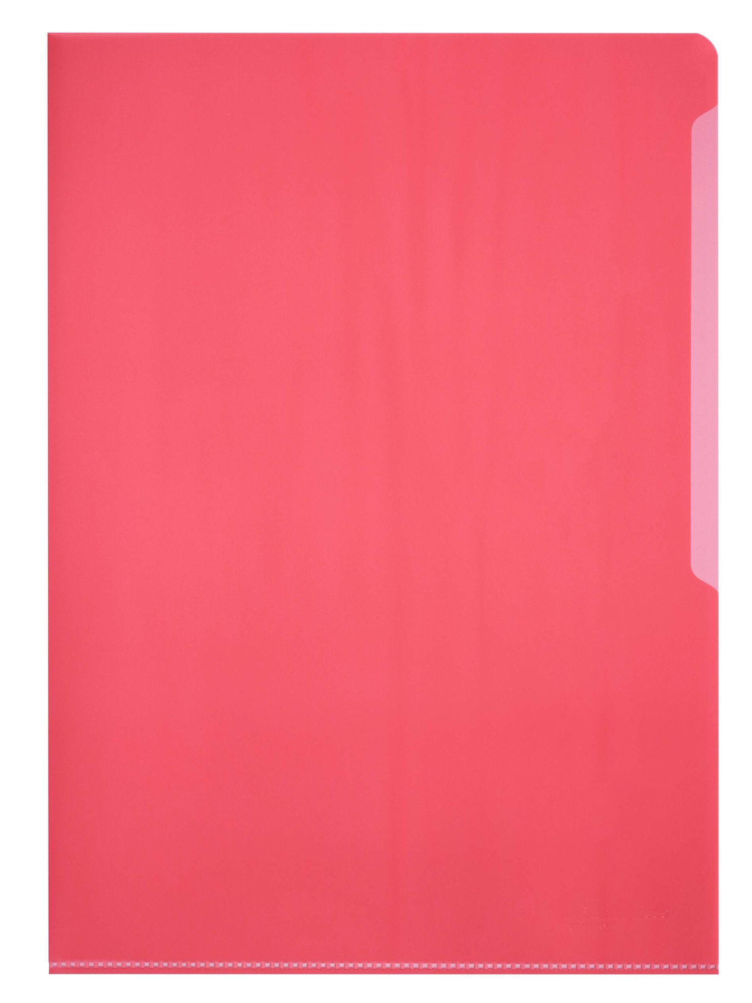 Durable STANDARD Pockets 100 Clear (100)