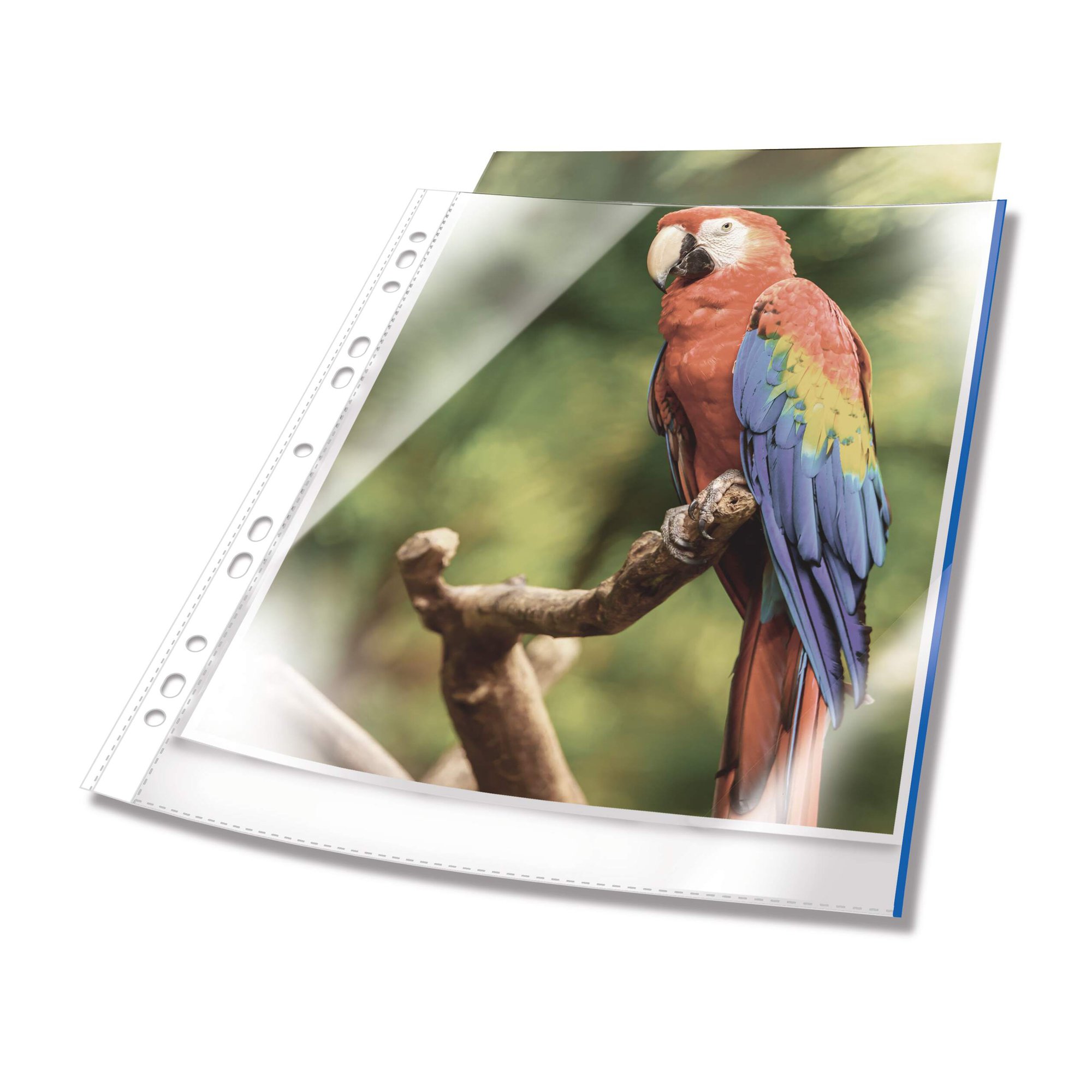 Durable PREMIUM Punched Pocket 25 Red (25)