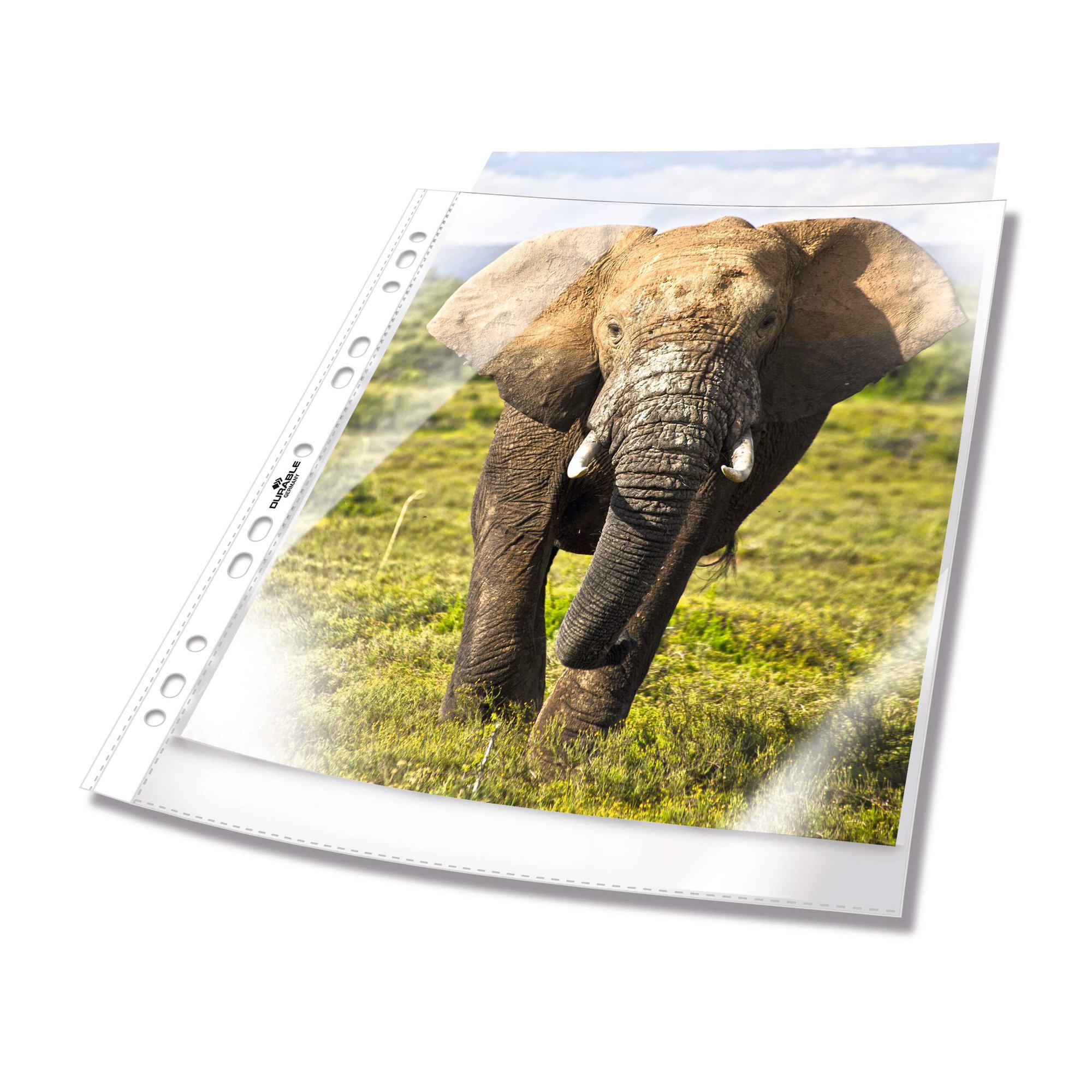 Durable STANDARD Punched Pockets 10 A4 (10)