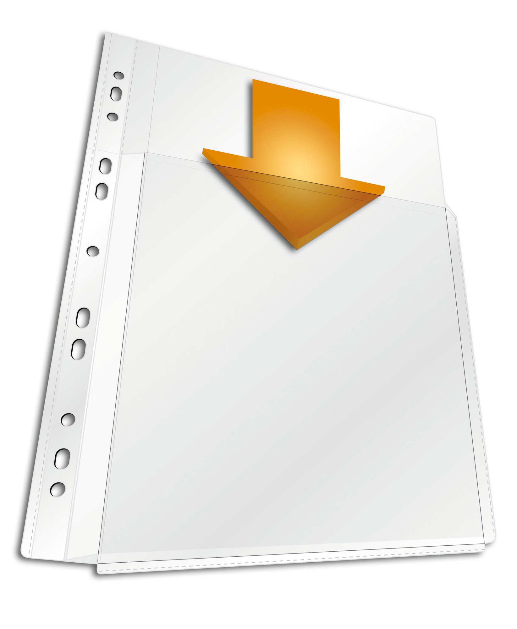 Durable BUSINESS Flap Punched Pocket (5)