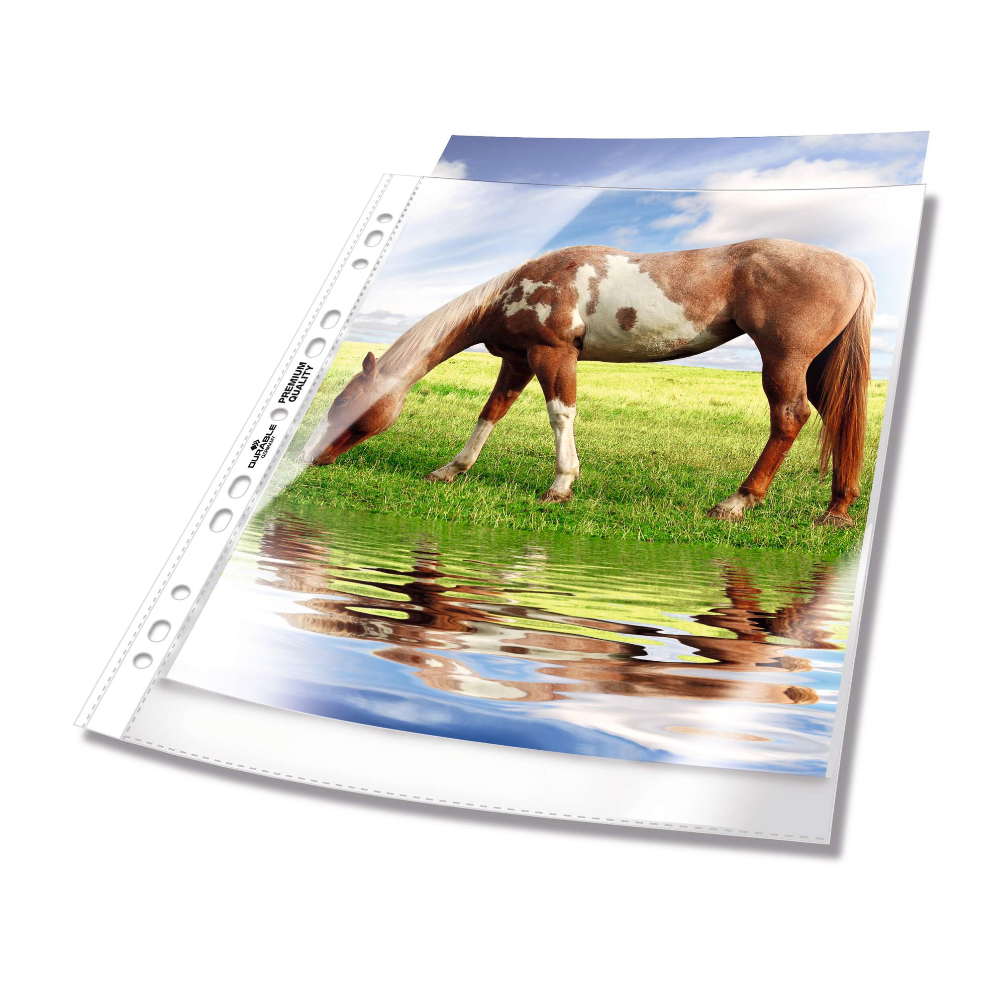 Durable PREMIUM Punched Pocket 100 Clear (100)