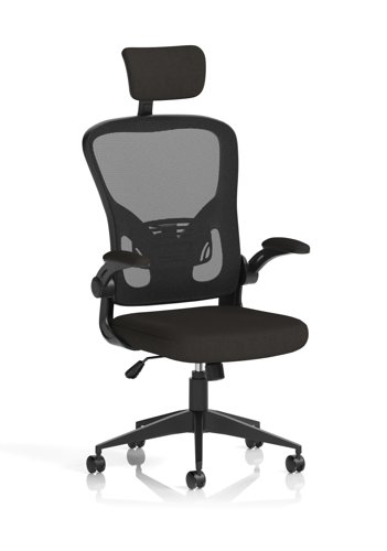 Ace+Executive+Mesh+Chair+With+Folding+Arms