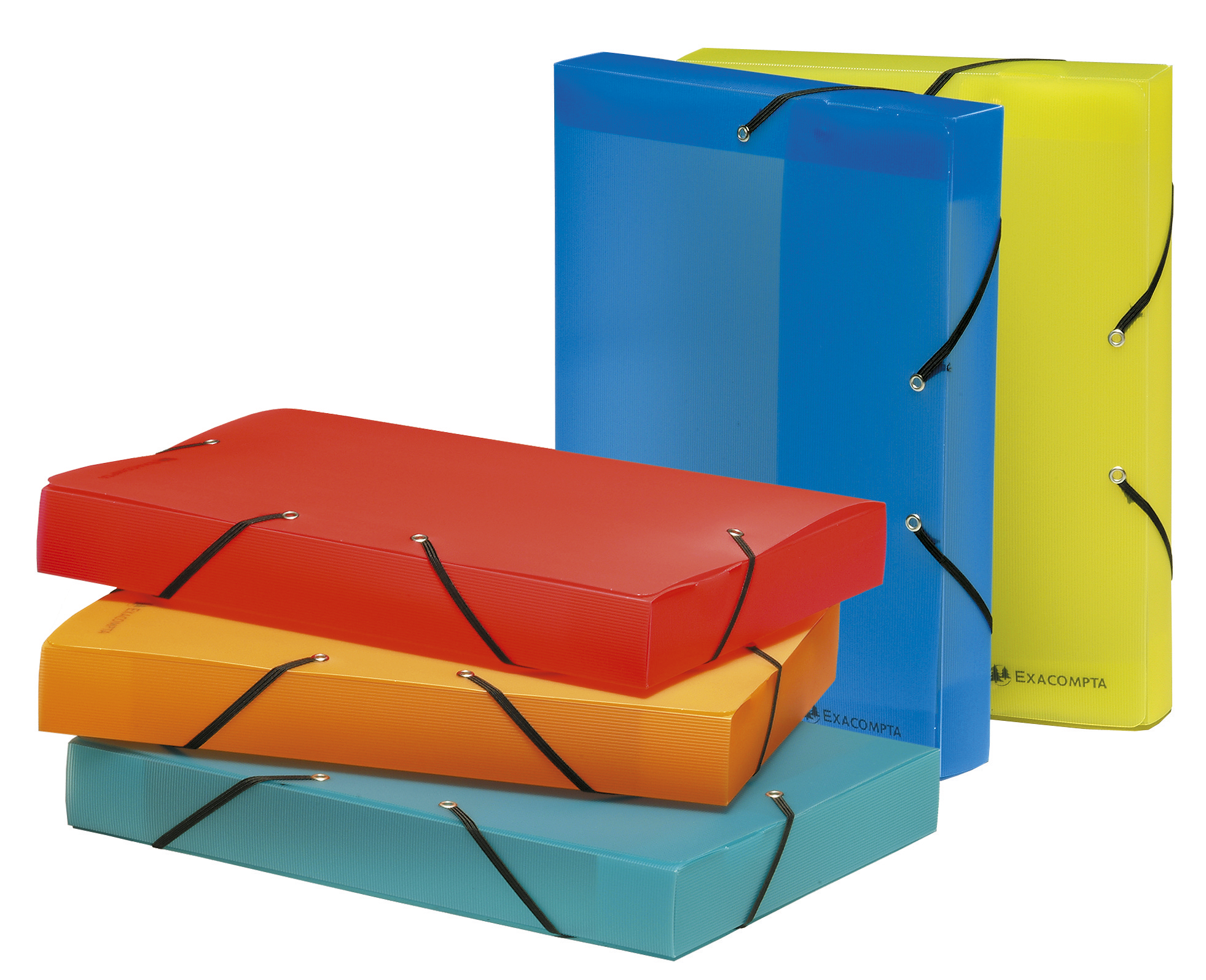 ExaCompatibleta A4 Display Book Opaque PP Welded - Black (1)