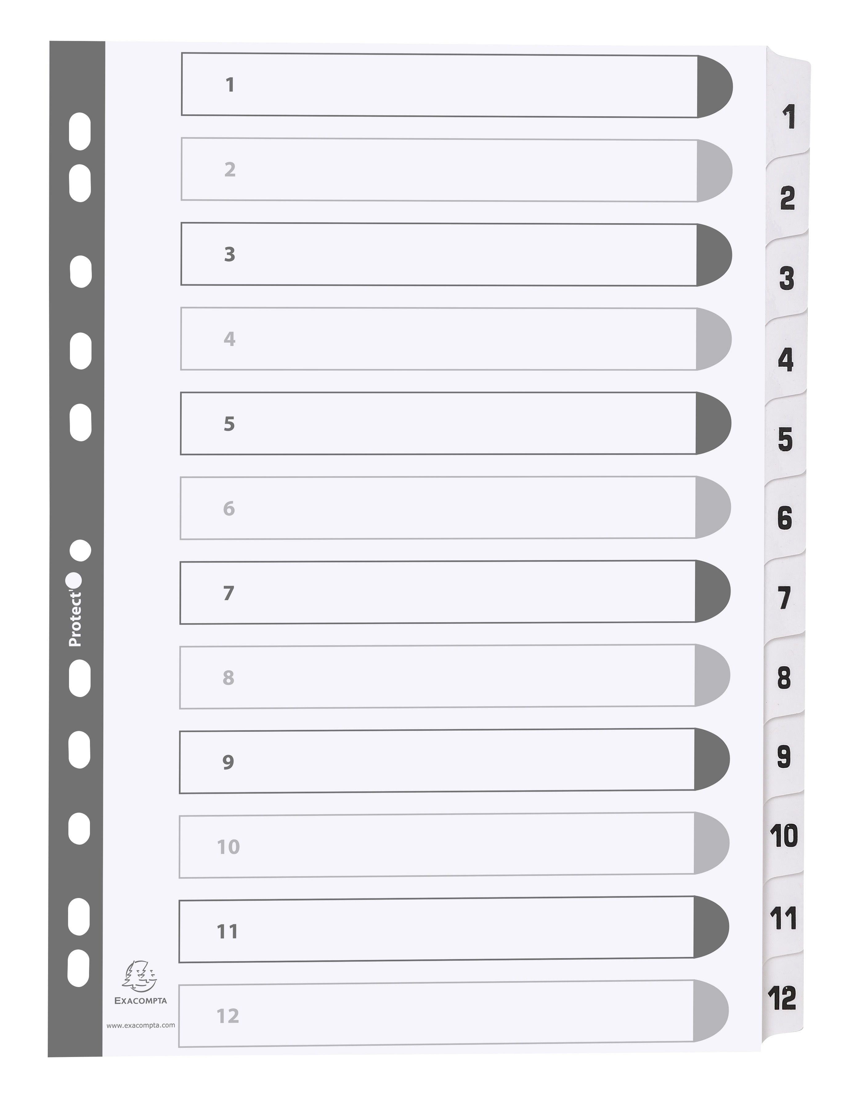 ExaCompatibleta Mylar Printed 160 GSM Indices A4 20 Part A to Z Letter Tabs