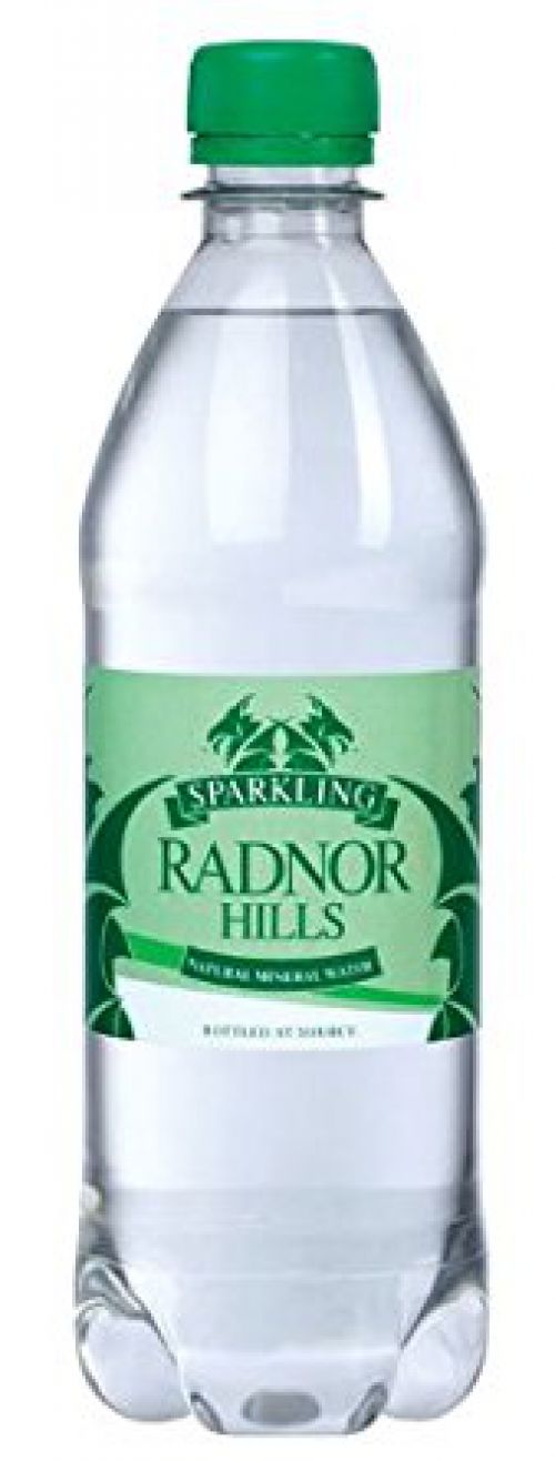 Radnor Hills Sparkling Bottled Water 500ml (Pallet 84 Packs of 24)  - 201036x84